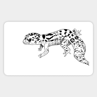 Gecko Magnet